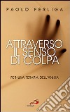 Attraverso il senso di colpa. Per una terapia dell'anima libro