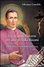 Un grande vescovo per una piccola diocesi. Sant'Antonio Maria Gianelli