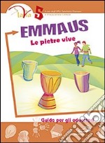 Emmaus. Le pietre vive. Guida per gli educatori. Vol. 5 libro