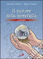 Il pastore della meraviglia libro