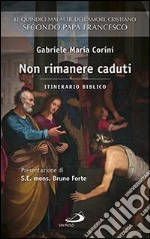 Non rimanere caduti. Le quindici malattie dell'amore cristiano secondo Papa Francesco. Itinerario biblico libro