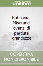 Babilonia. Miserandi avanzi di perdute grandezze libro