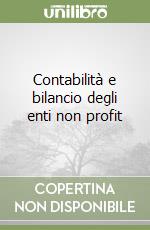 Contabilità e bilancio degli enti non profit