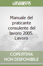 Manuale del praticante consulente del lavoro 2005. Lavoro libro