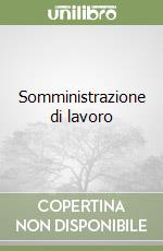 Somministrazione di lavoro libro