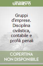 Gruppi d'imprese. Disciplina civilistica, contabile e profili penali libro