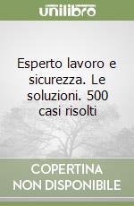 Esperto lavoro e sicurezza. Le soluzioni. 500 casi risolti libro