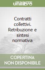 Contratti collettivi. Retribuzione e sintesi normativa libro