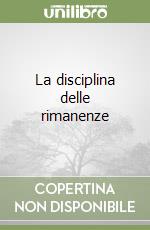 La disciplina delle rimanenze