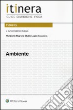 Ambiente. Con aggiornamento online libro