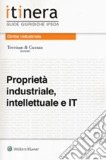 Proprietà industriale, intellettuale e IT. Con Contenuto digitale (fornito elettronicamente) libro