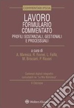 Lavoro. Formulario commentato. Profili sostanziali, gestionali e processuali libro