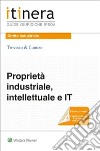 Proprietà industriale, intellettuale e IT libro