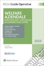 Welfare aziendale. Welfare territoriale e multi-employer, post-pandemia e smart working libro