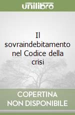 Il sovraindebitamento nel Codice della crisi