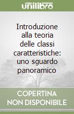 Introduzione alla teoria delle classi caratteristiche: uno sguardo panoramico libro