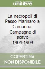 La necropoli di Passo Marinaro a Camarina. Campagne di scavo 1904-1909 libro