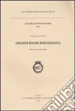 Grandi bacini idrografici. Giornata di studi (Roma, 6 novembre 2002) libro