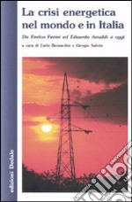 La crisi energetica nel mondo e in Italia. Da Enrico Fermi ed Edoardo Amaldi a oggi libro