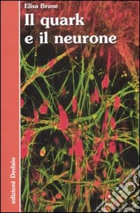 Il quark e il neurone
