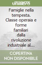 Famiglie nella tempesta. Classe operaia e forme familiari dalla rivoluzione industriale al declino della fertilità libro