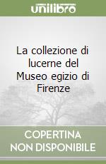 La collezione di lucerne del Museo egizio di Firenze libro