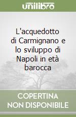 L'acquedotto di Carmignano e lo sviluppo di Napoli in età barocca libro