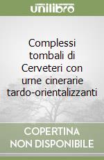 Complessi tombali di Cerveteri con urne cinerarie tardo-orientalizzanti libro