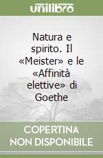 Natura e spirito. Il «Meister» e le «Affinità elettive» di Goethe libro