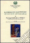 Il paesaggio mantovano. Nelle tracce materiali, nelle lettere e nelle arti. Atti del Convegno di studi (Mantova, 22-23 marzo 2002). Vol. 2: Il paesaggio mantovano nel Medioevo libro di Camerlenghi E. (cur.) Rebonato V. (cur.) Tammaccaro S. (cur.)