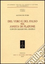 Del vero e del falso nel Sofista di Platone libro