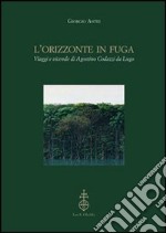 L'orizzonte in fuga. Viaggi e vicende di Agostino Codazzi da Lugo