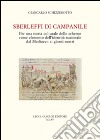 Sberleffi di campanile. Per una storia culturale dello scherno come elemento dell'identità nazionale dal Medioevo ai giorni nostri libro