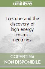 IceCube and the discovery of high energy cosmic neutrinos