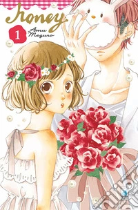 Honey. Vol. 1 libro