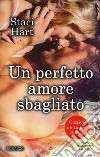 Un perfetto amore sbagliato libro