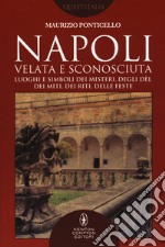 Napoli velata e sconosciuta. Luoghi e simboli dei misteri, degli dèi, dei miti, dei riti, delle feste libro