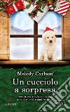 Un cucciolo a sorpresa libro di Carlson Melody