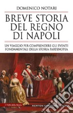 Breve storia del Regno di Napoli. Un viaggio per comprendere gli eventi fondamentali della storia partenopea libro