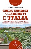 Guida curiosa ai labirinti d'Italia. Un viaggio alla scoperta di luoghi misteriosi e ricchi di simboli nascosti libro