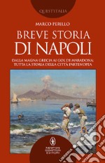 Breve storia di Napoli libro