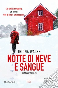 Notte di neve e sangue libro