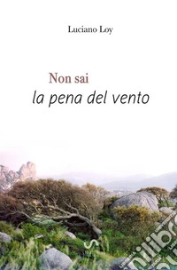 Non sai la pena del vento libro
