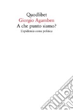 A che punto siamo? L'epidemia come politica libro