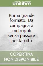 Roma grande formato. Da campagna a metropoli senza passare per la città libro