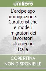 L'arcipelago immigrazione. Caratteristiche e modelli migratori dei lavoratori stranieri in Italia libro