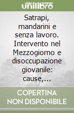 Satrapi, mandarini e senza lavoro. Intervento nel Mezzogiorno e disoccupazione giovanile: cause, effetti, rimedi libro