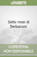 Sette mesi di Berlusconi libro