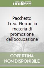 Pacchetto Treu. Norme in materia di promozione dell'occupazione libro