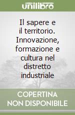 Il sapere e il territorio. Innovazione, formazione e cultura nel distretto industriale libro